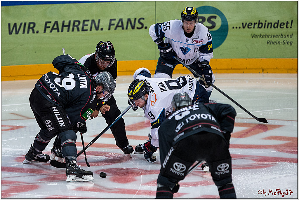 Koelner Haie - ERC Ingolstadt, 23.10.2016